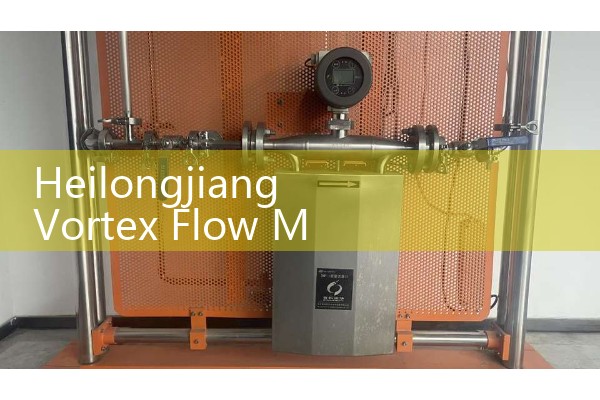 Heilongjiang Vortex Flow Meter